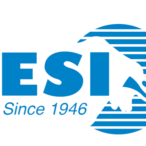 Eichenauer Services Inc