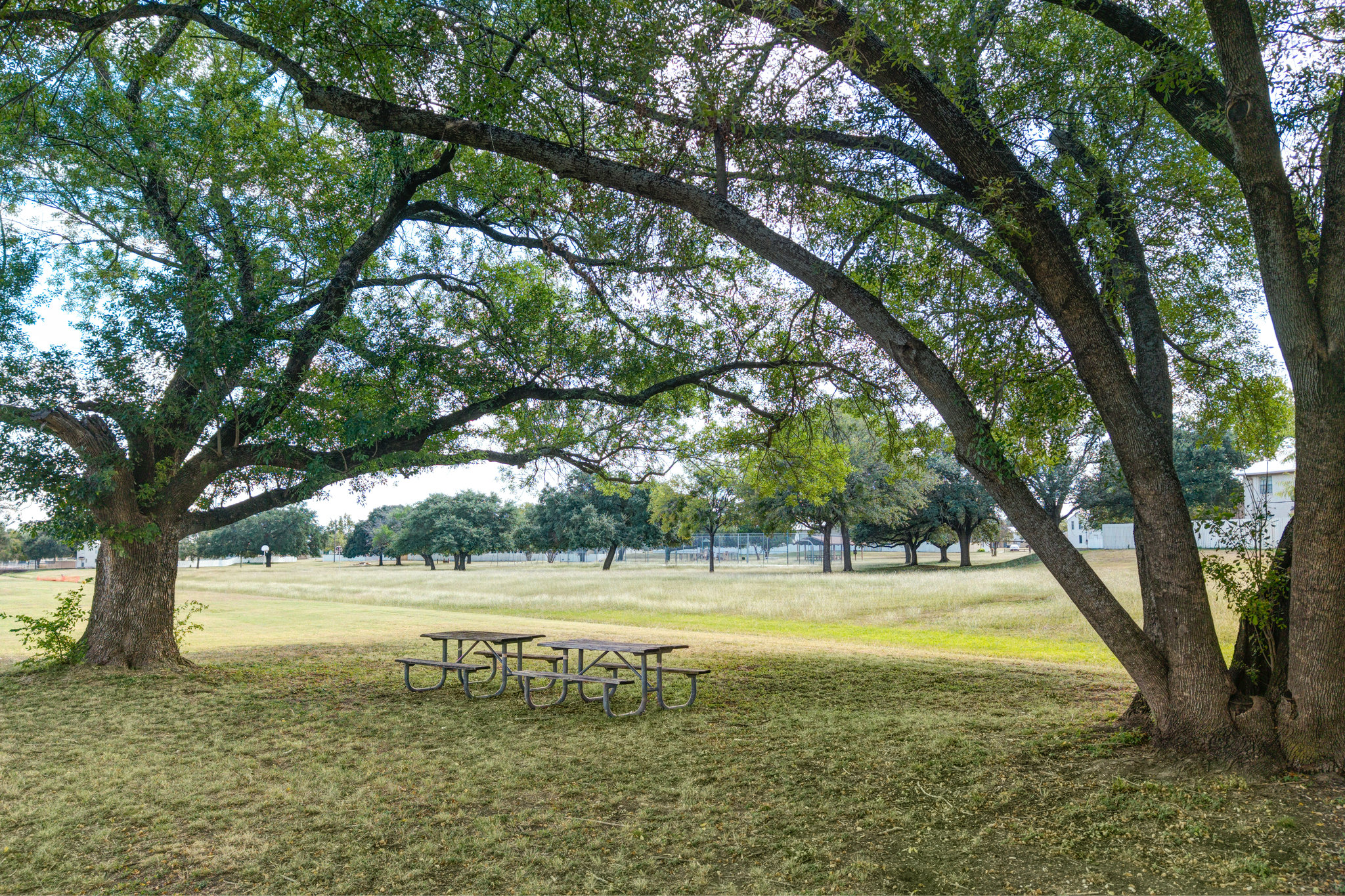 Candlewood Suites Building 144 Image