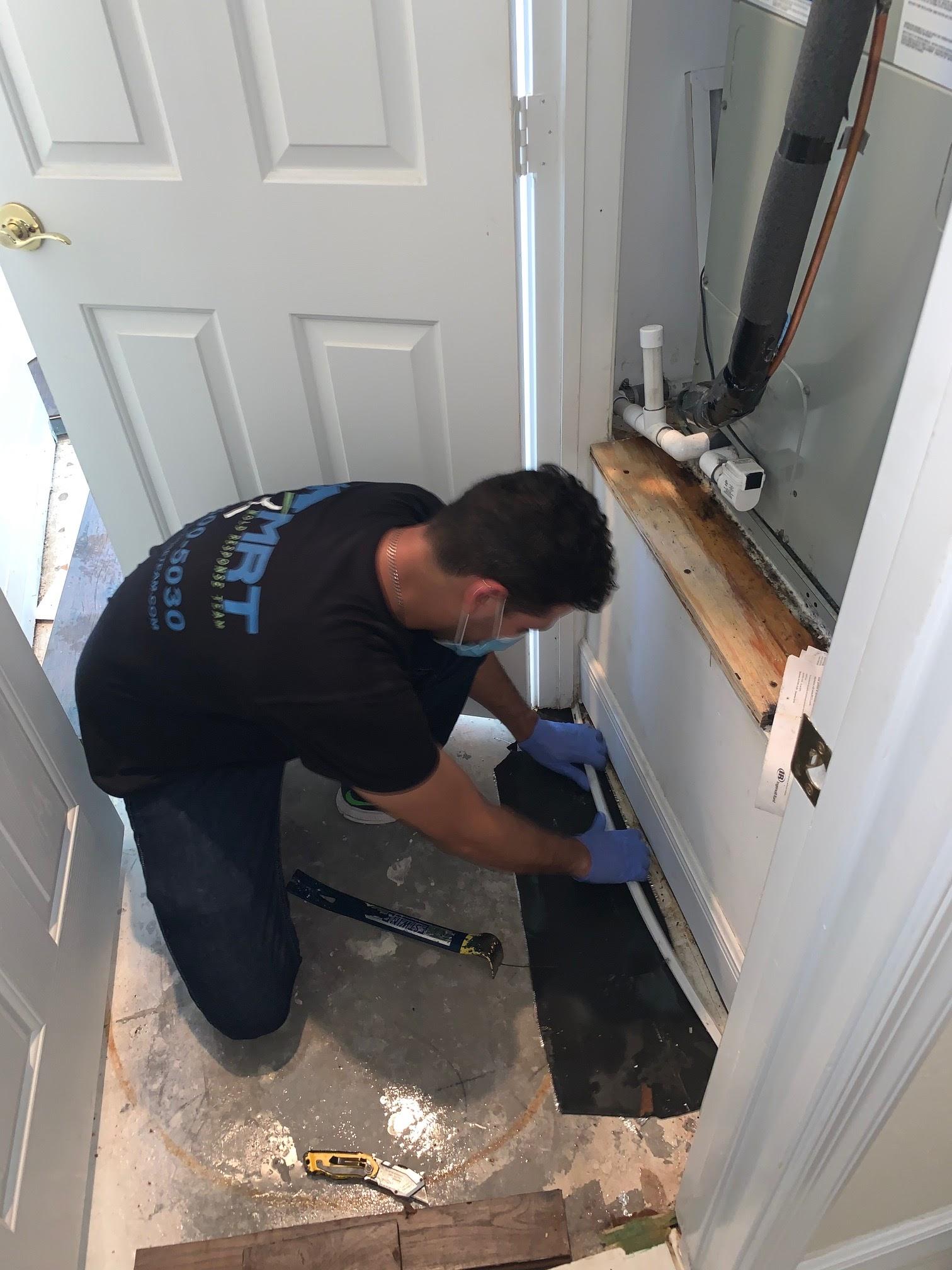 Mold Response Team Image