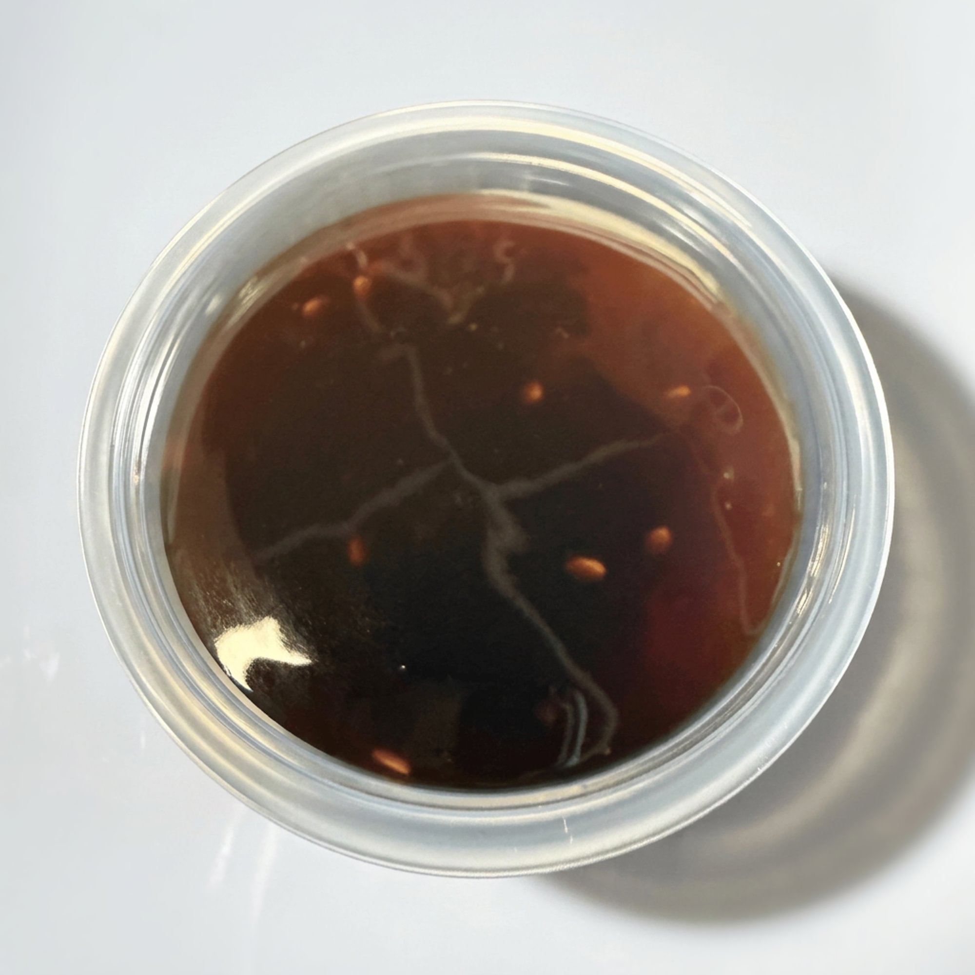 Teriyaki Sauce