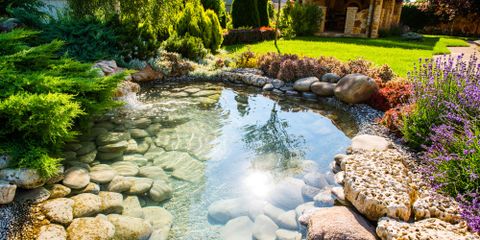 5 Best Easy Landscaping Ideas