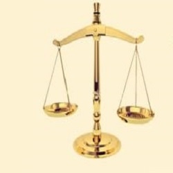 Brady Teresa Attorney