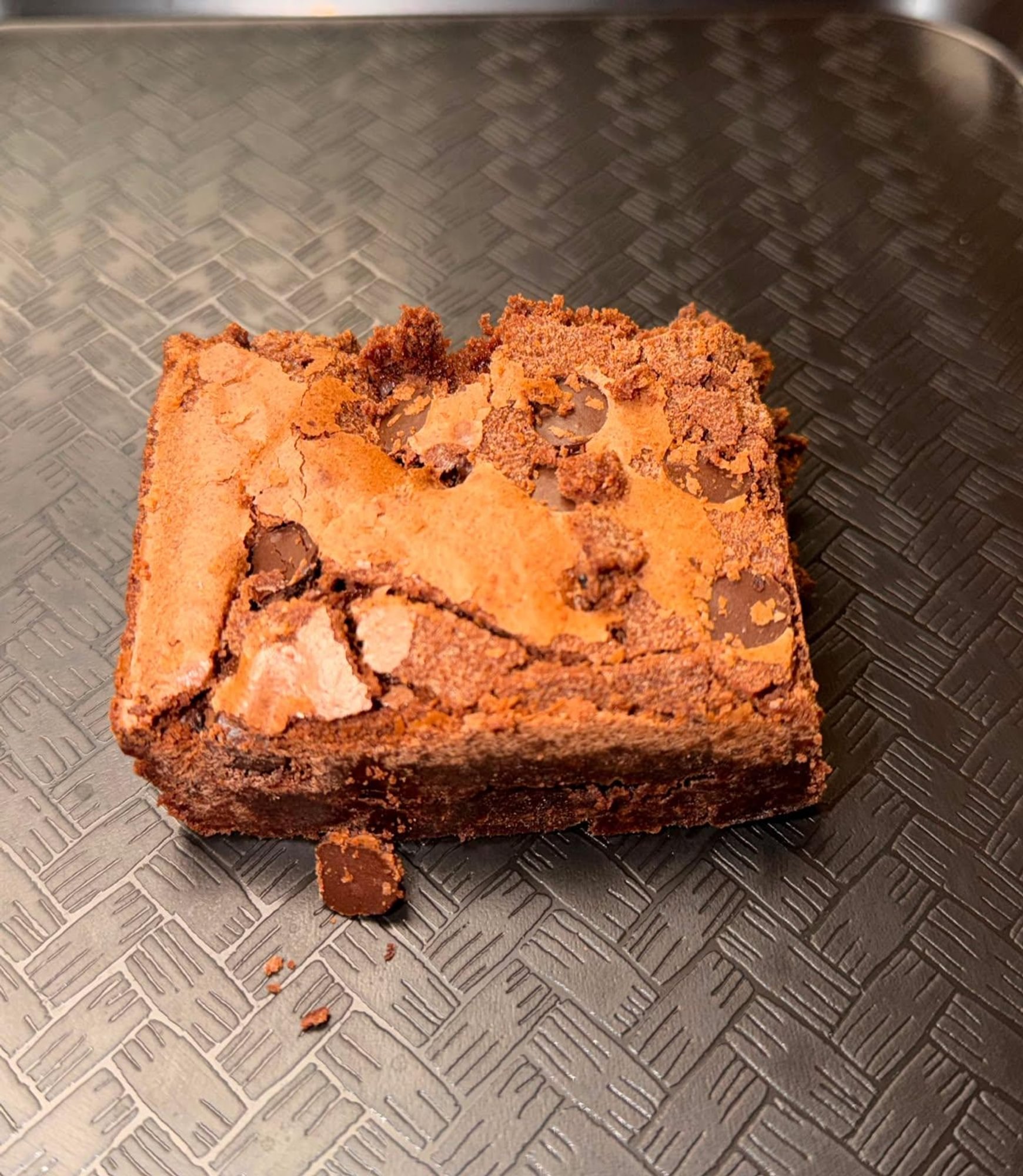 Chocolate Chip Brownie
