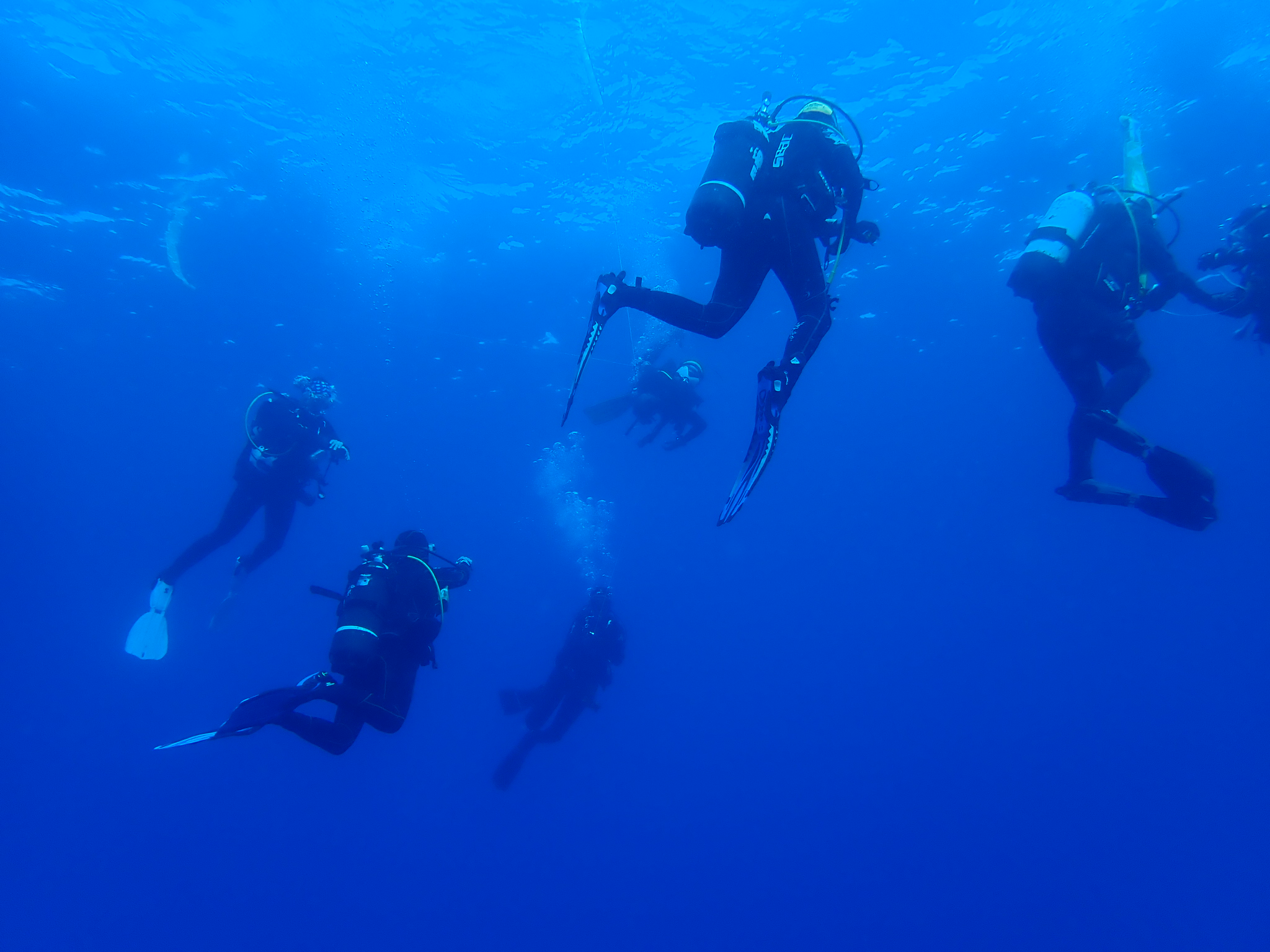Images Blaumar Dive Center