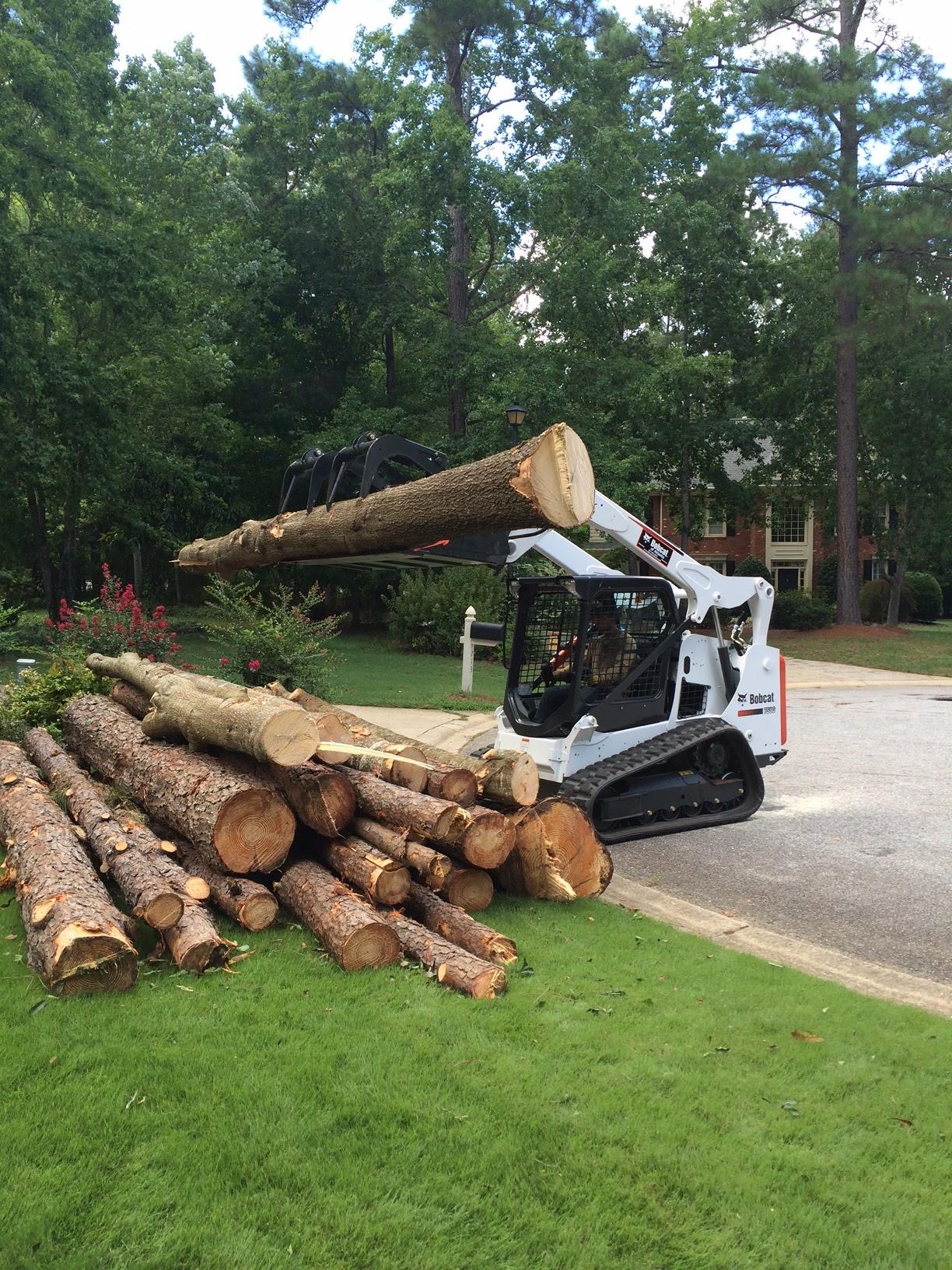 TreeDog Atlanta Services LLC Image