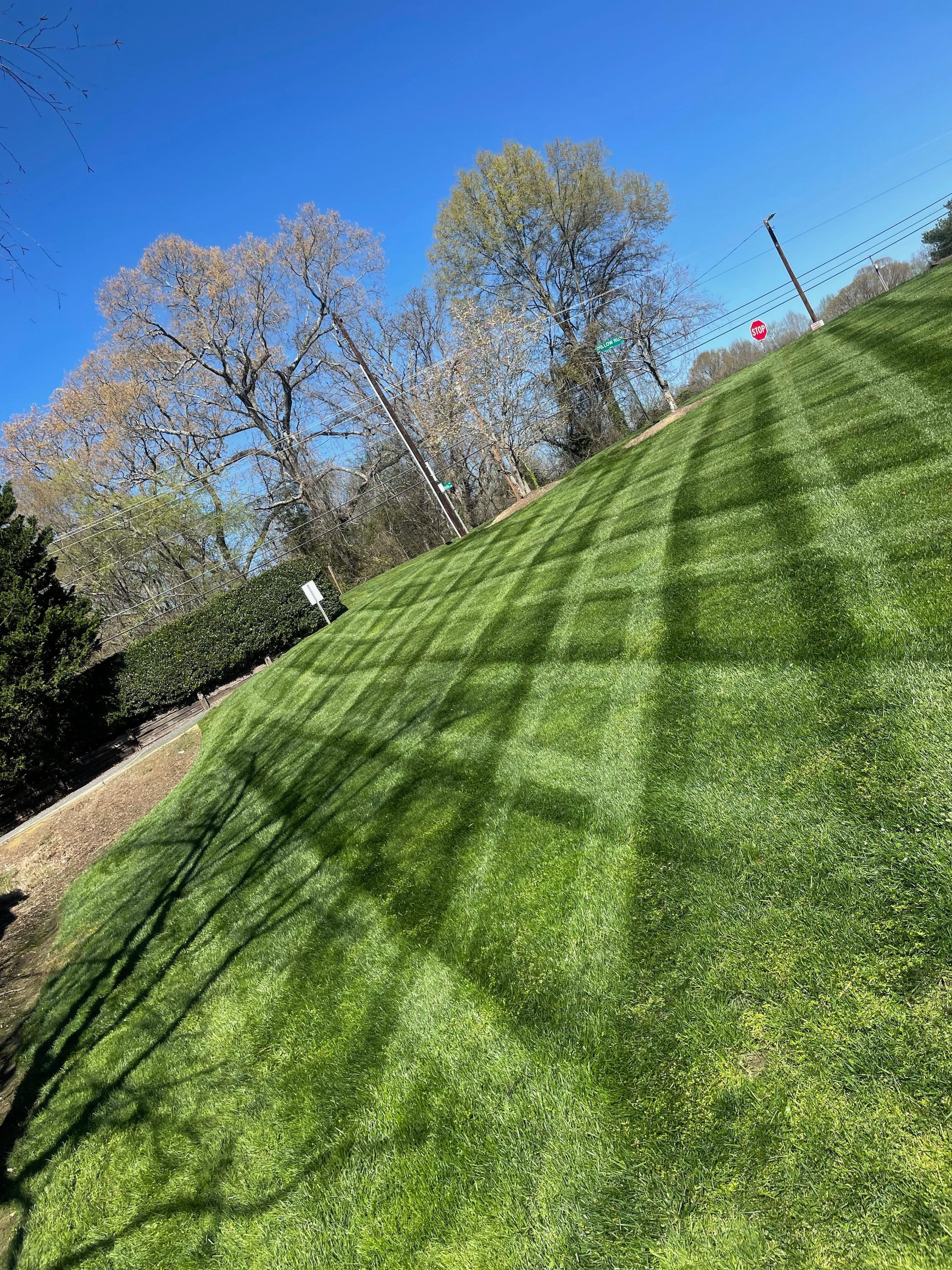 Calhoun’s Lawn Maintenance Image