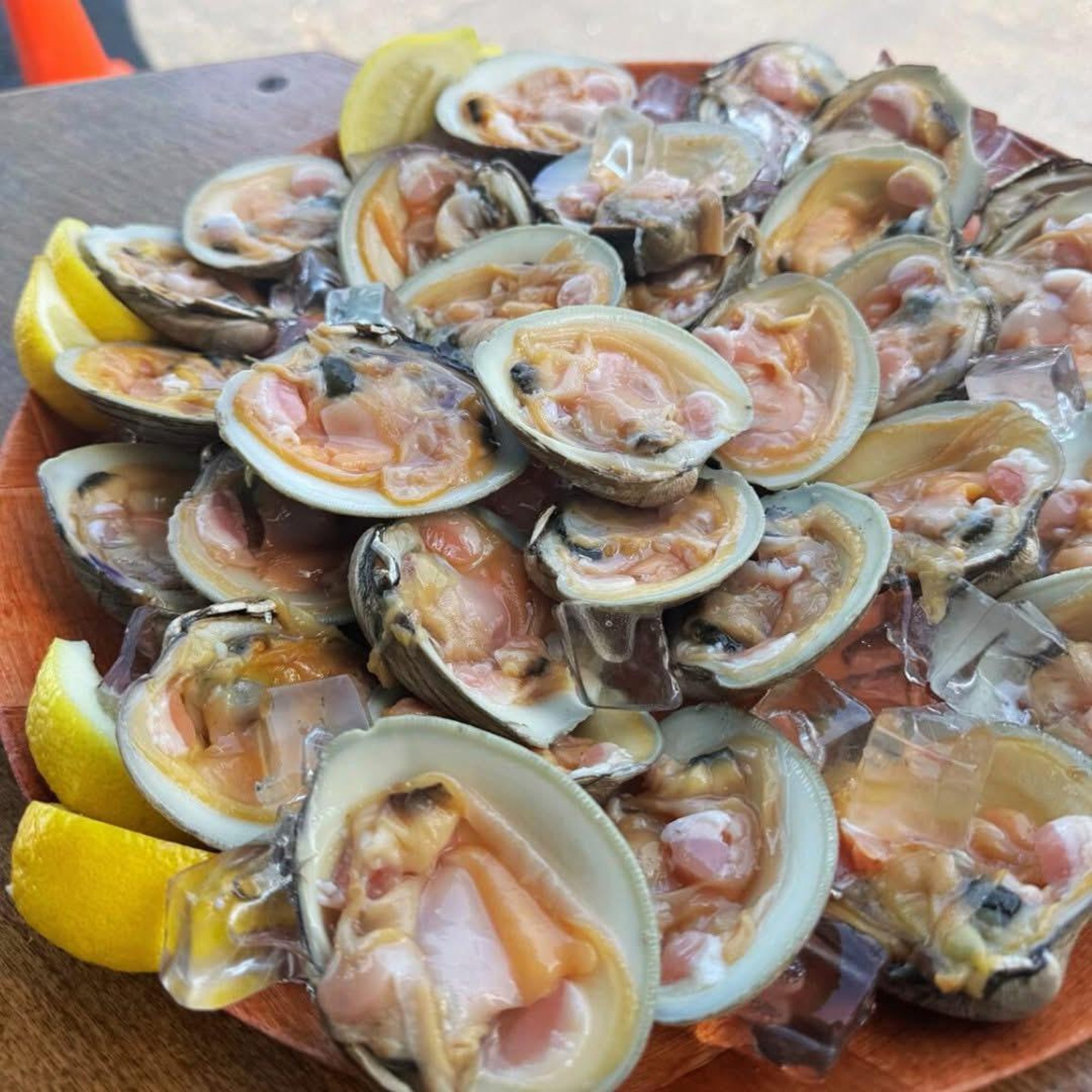 6 Raw Clams