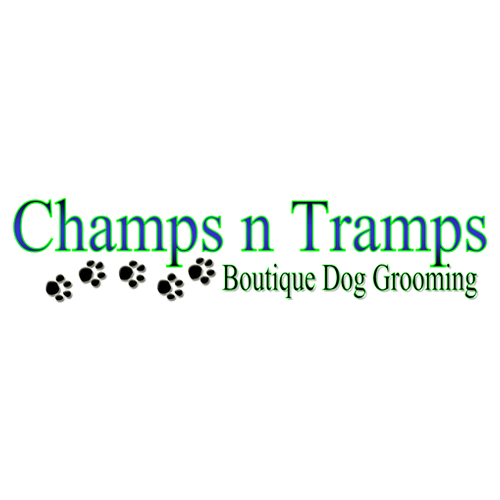 Champs N' Tramps