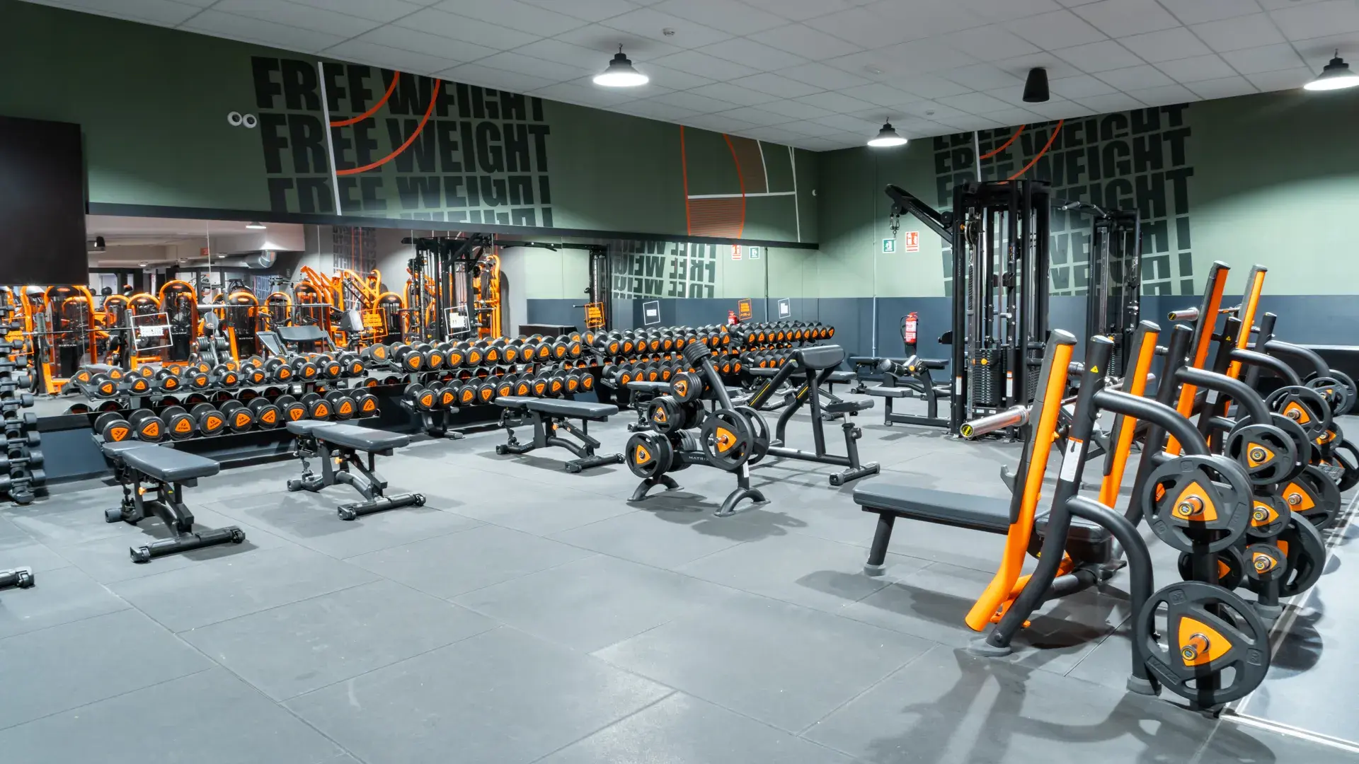 Galería de imágenes