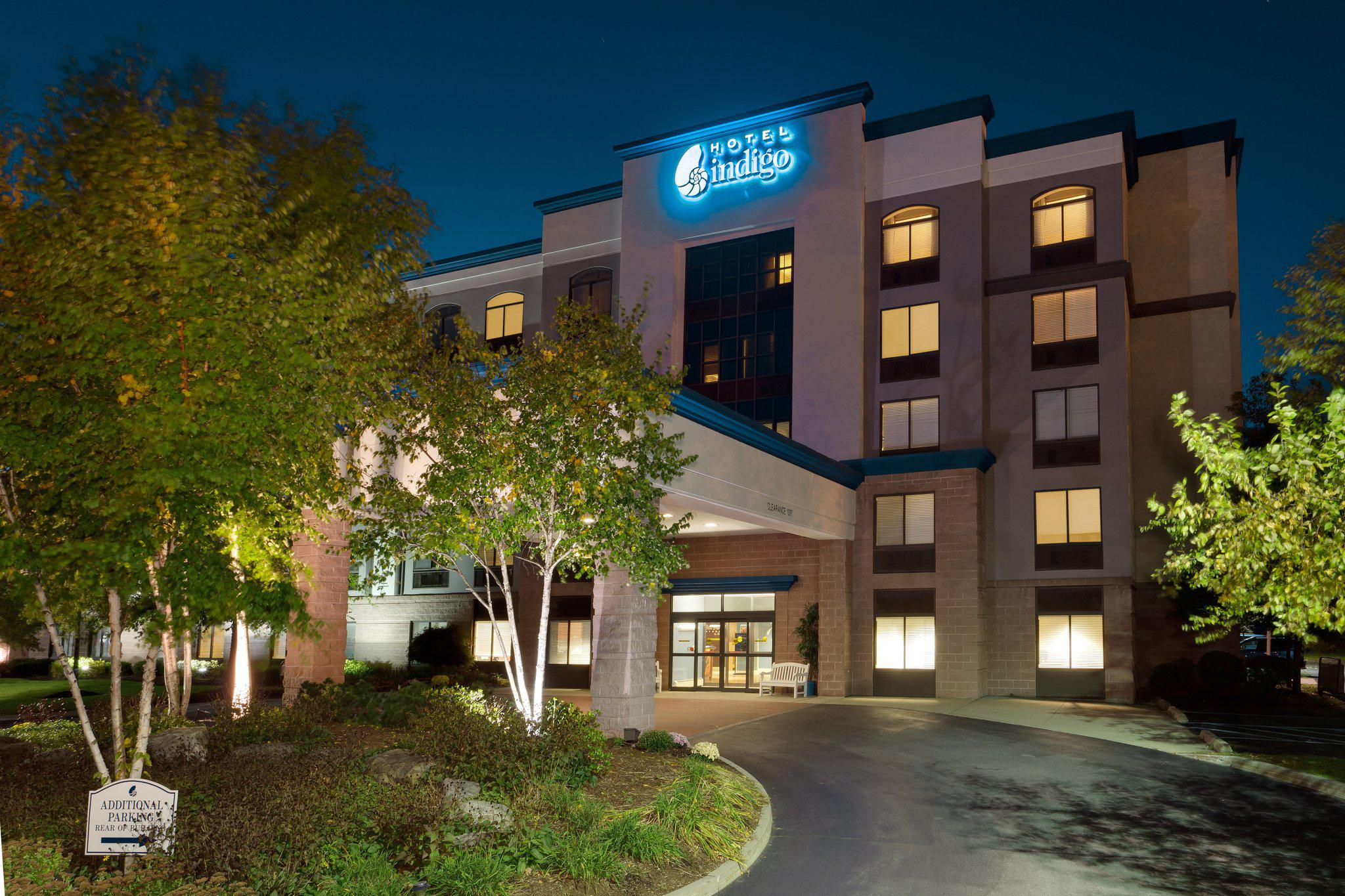 Hotel Indigo Albany Airport - Wolf Road Photo