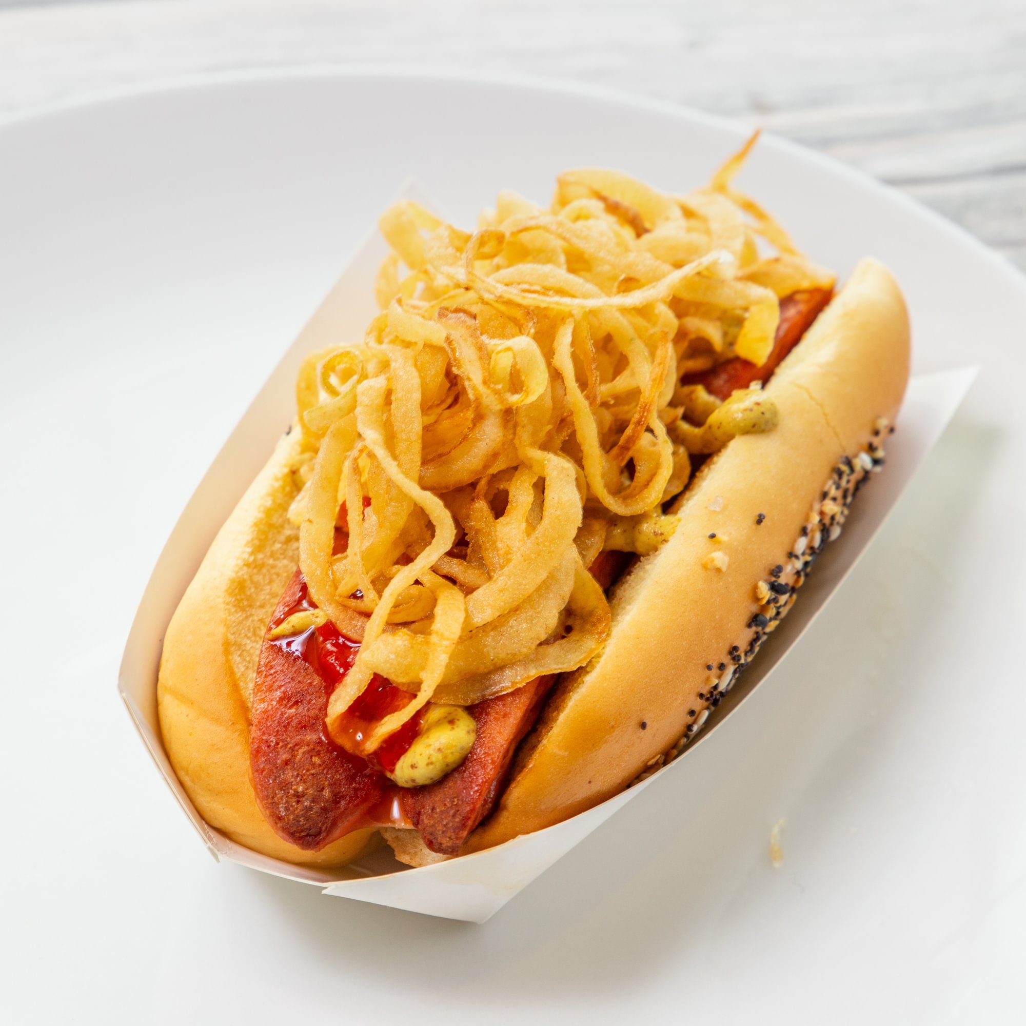 Bostonian Dog