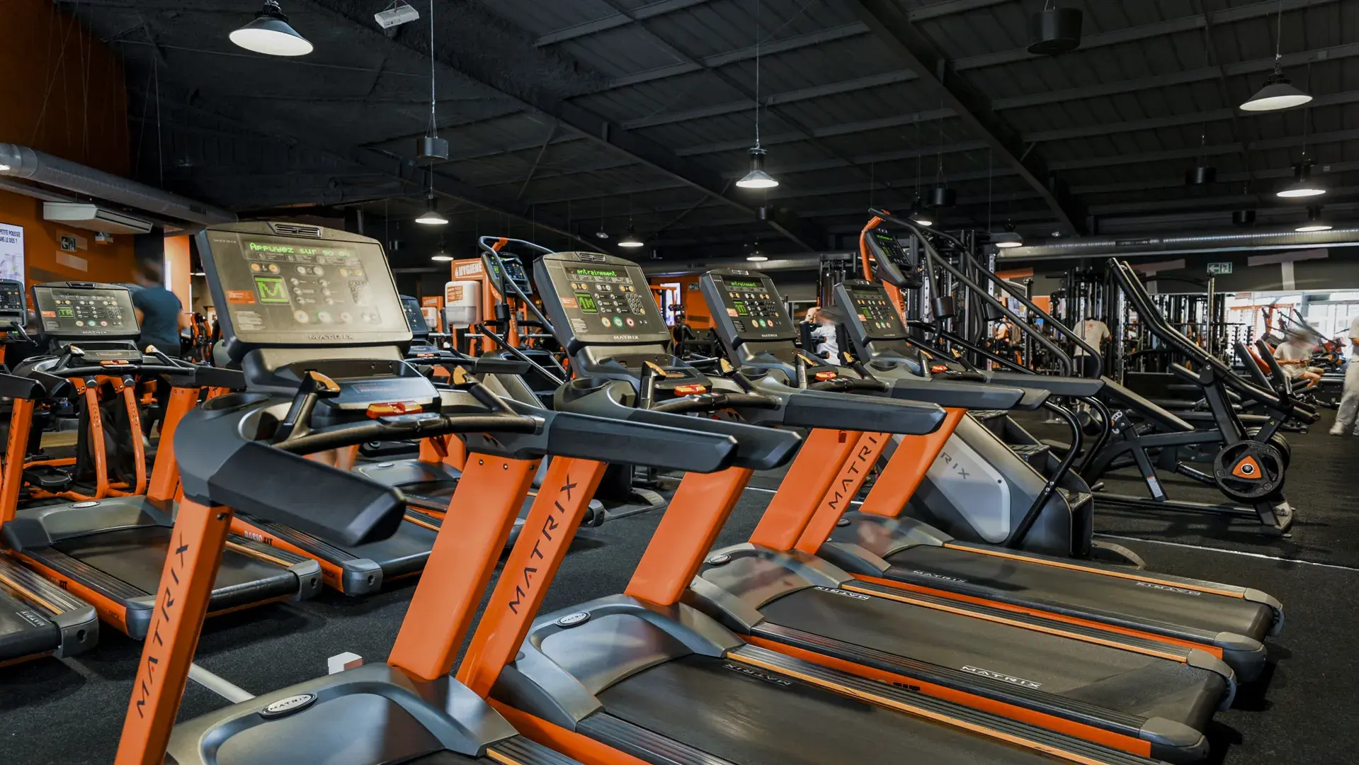 Miniature de la galerie