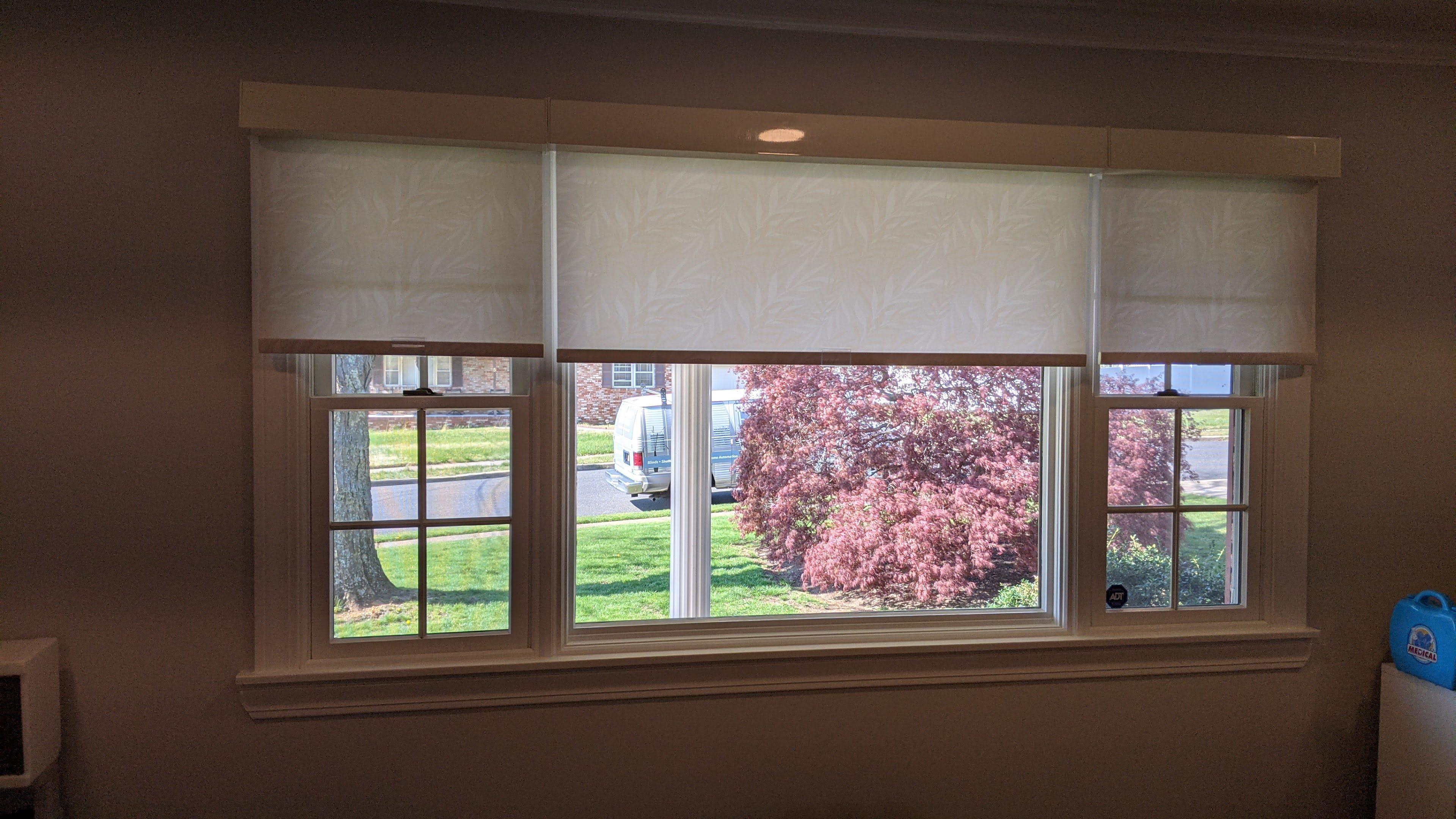 Printed roller shades can really make the room come alive!