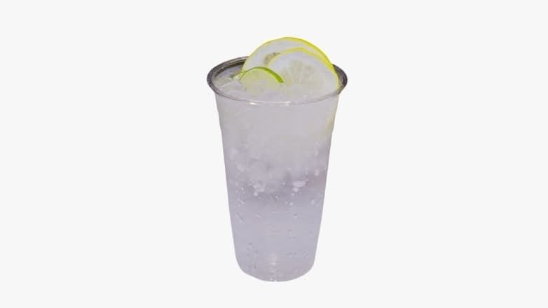 Sparkling Water with Lemon