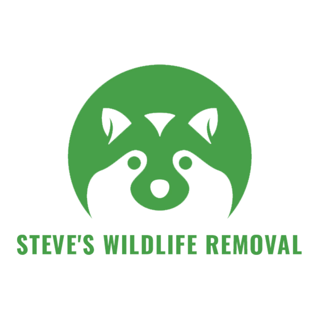 Steve's Wildlife Removal