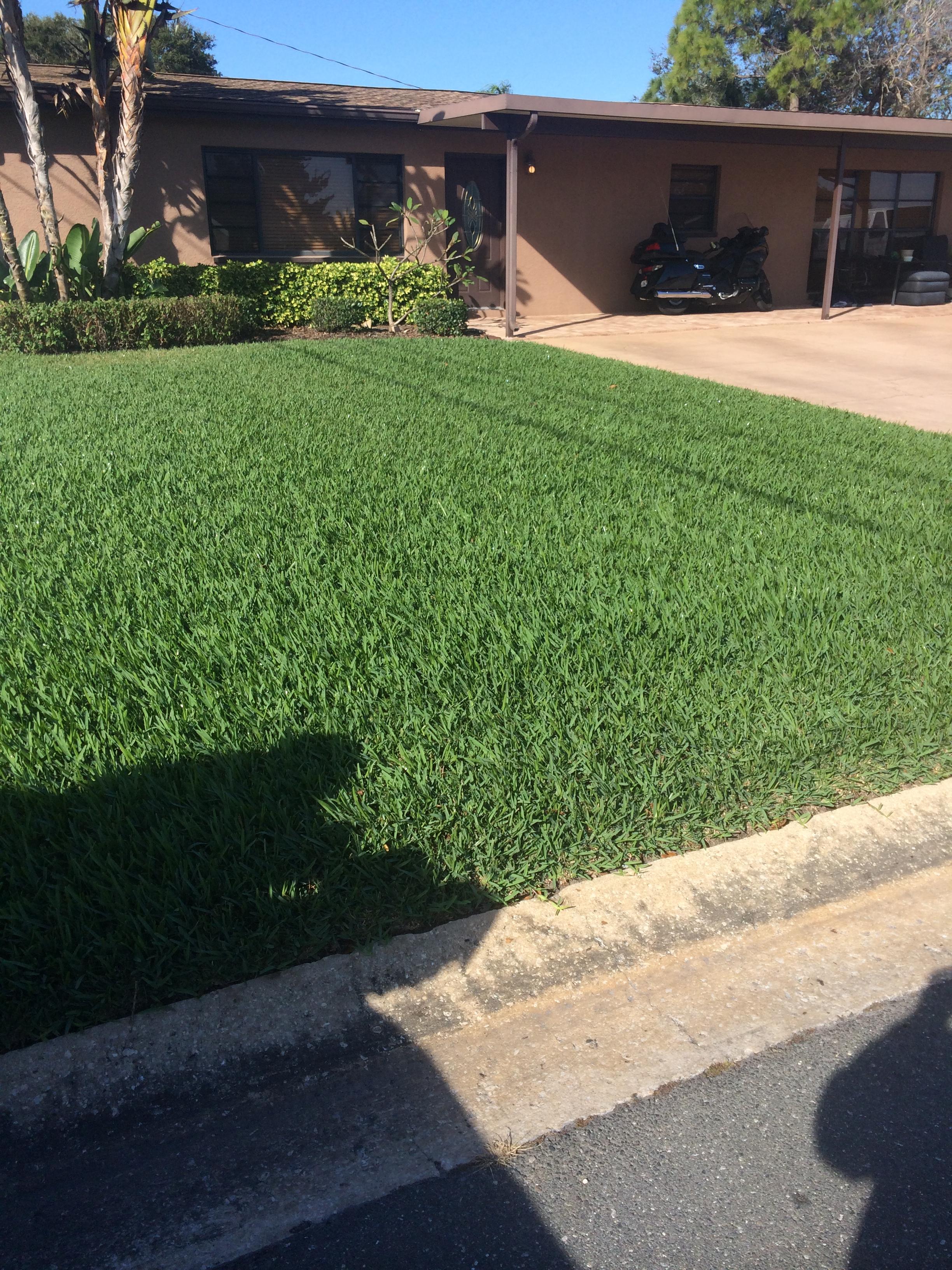 Forever Green Lawn and Pest Control Image