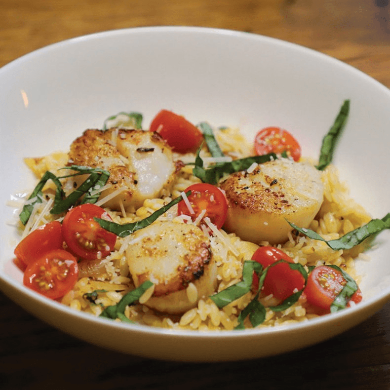 Jr. Scallop