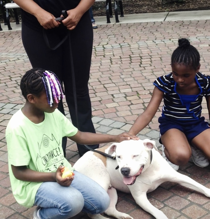 Underdog K-9 Academy LLC Image