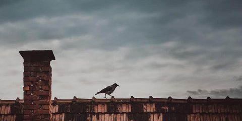 Scanlan Masonry & Chimney Corporation Image