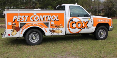 What to Look For in a Reliable Pest Control Company