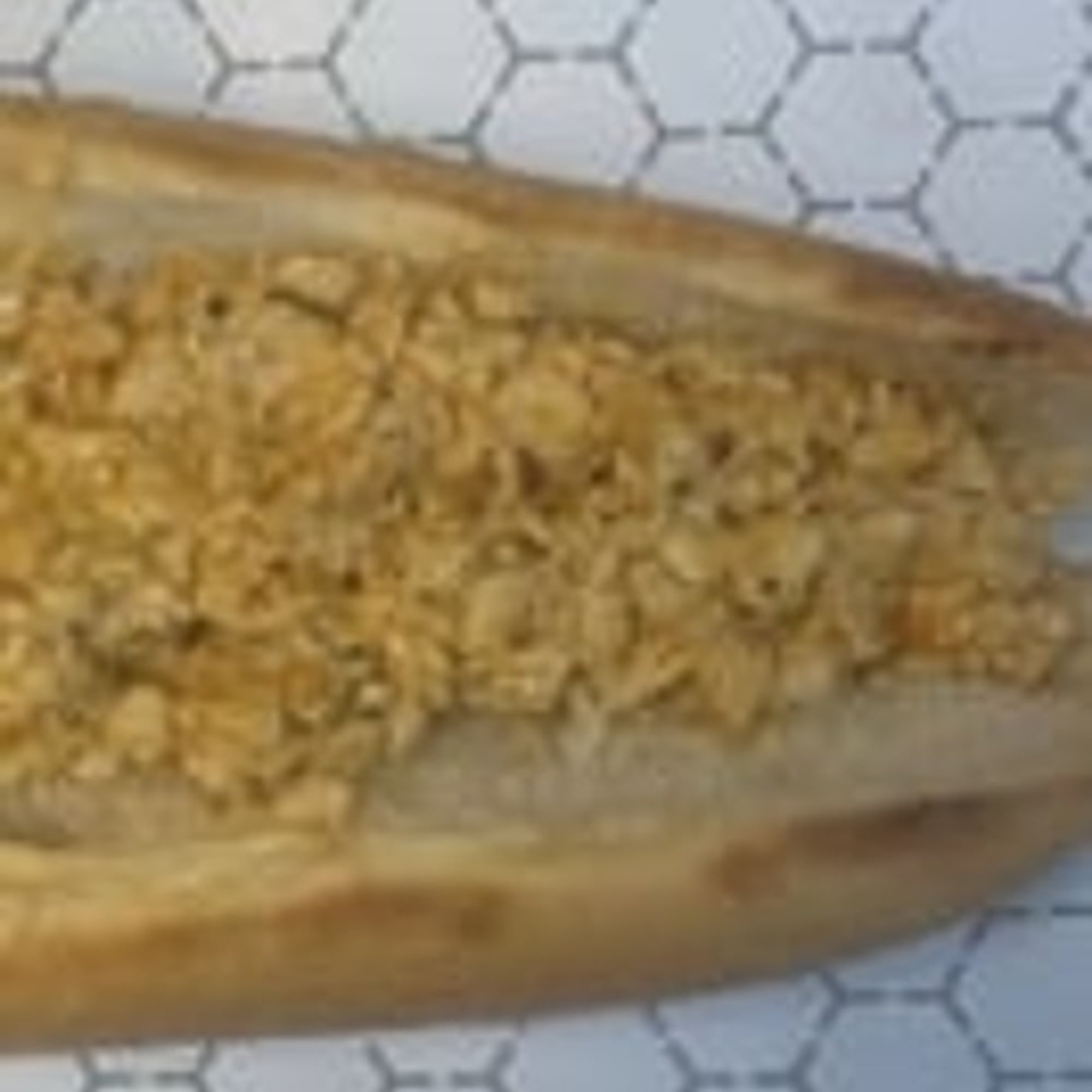 Chicken Cheese Steak Sandwich (Small 7")