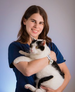 Westford Animal Hospital Photo