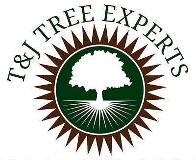 T&J Tree Experts LLC Photo