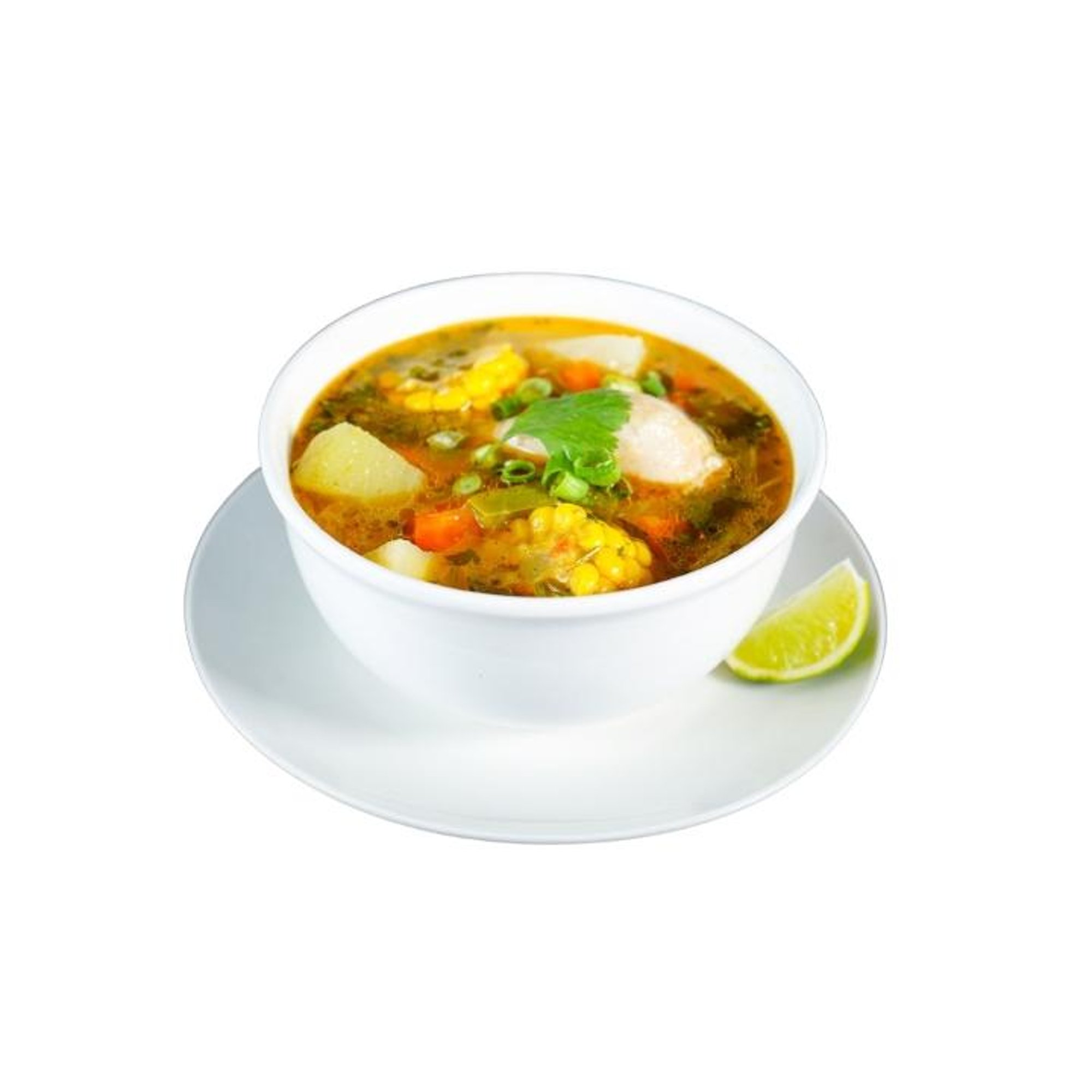 Cup of Chicken Soup