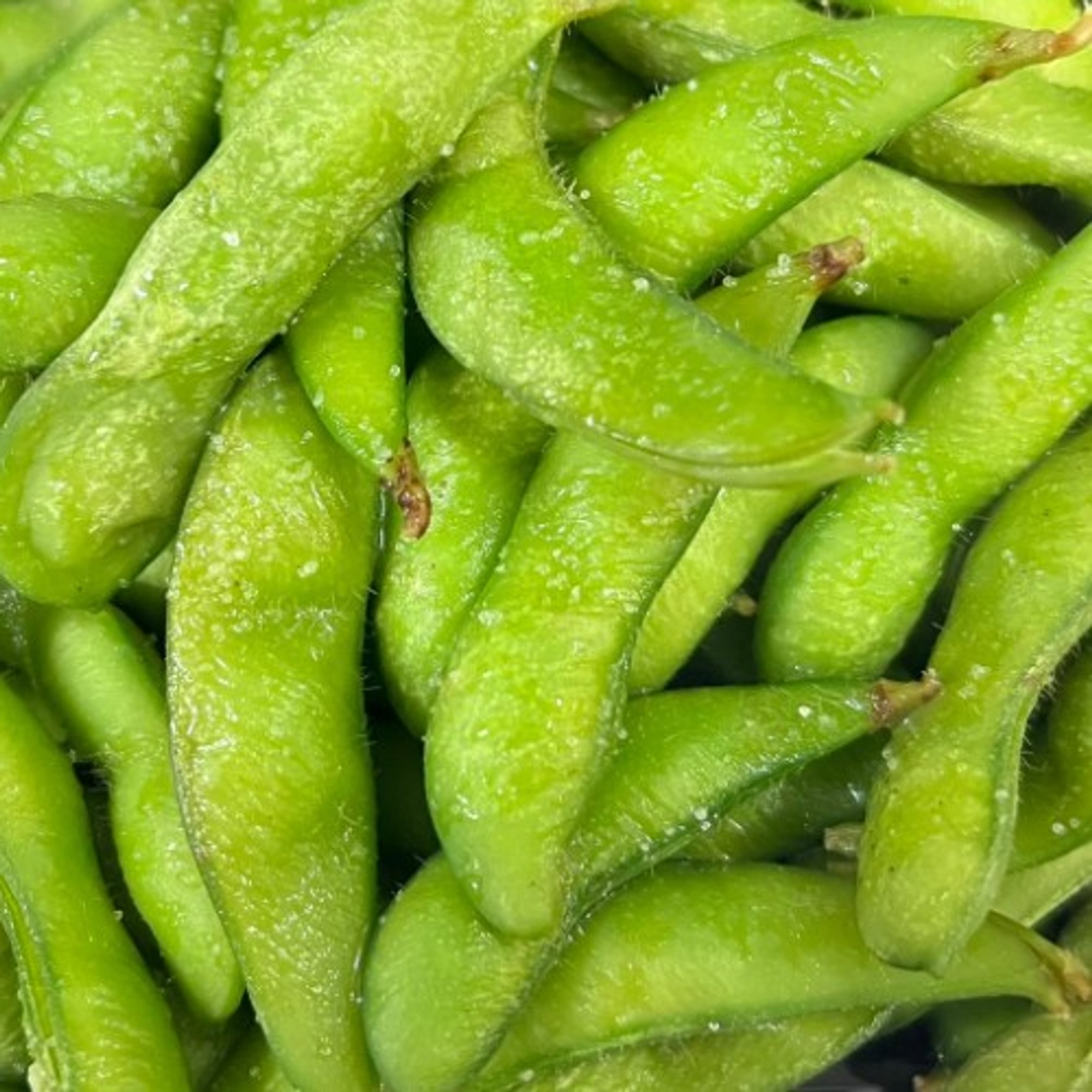 Edamame