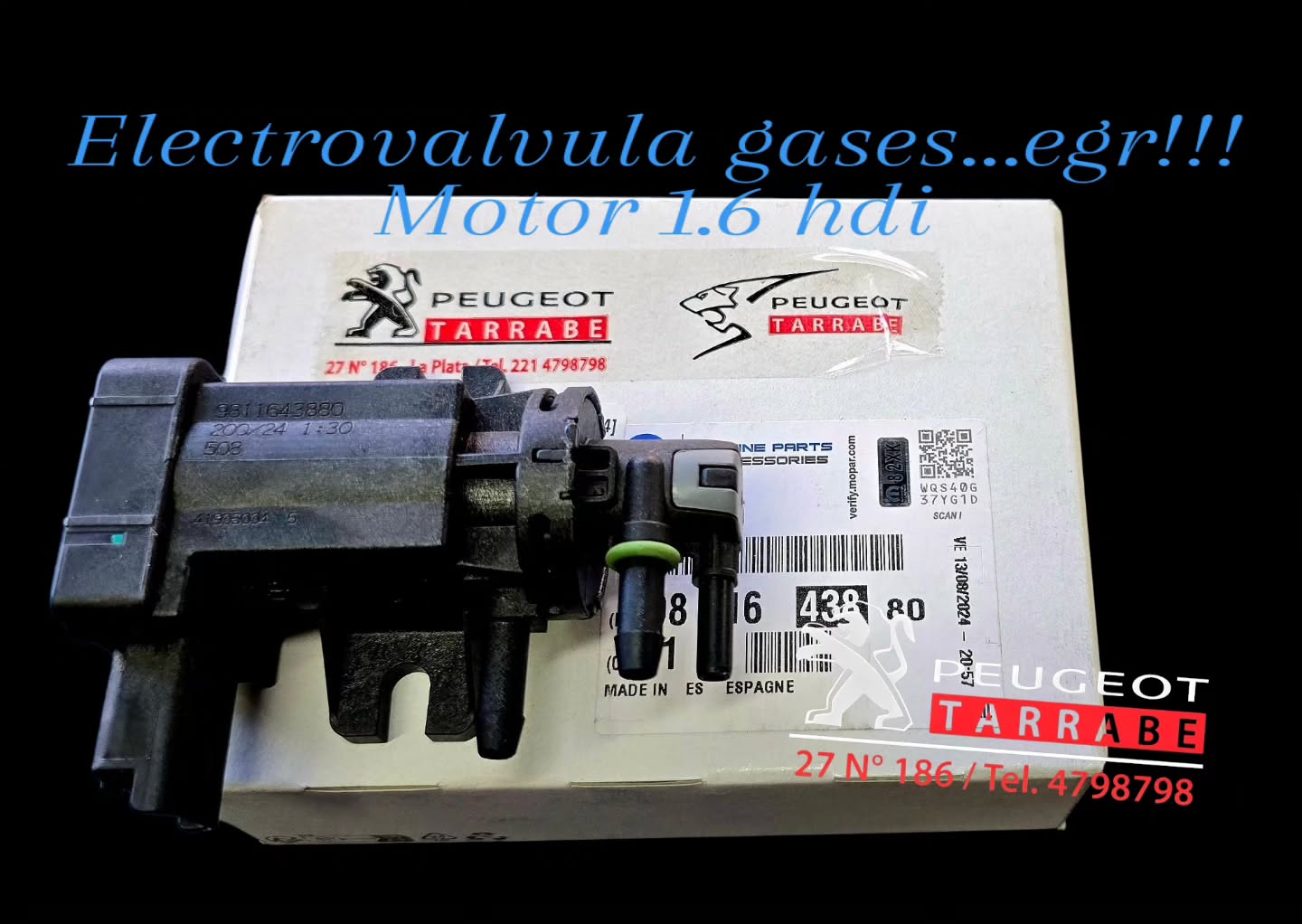 Galería en miniatura