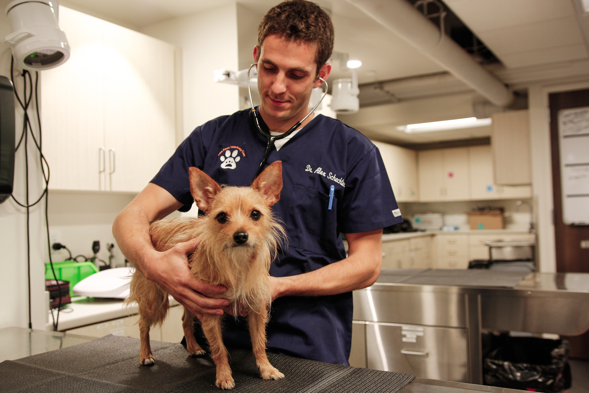 Pure Paws Veterinary Care of Hell's Kitchen Photo