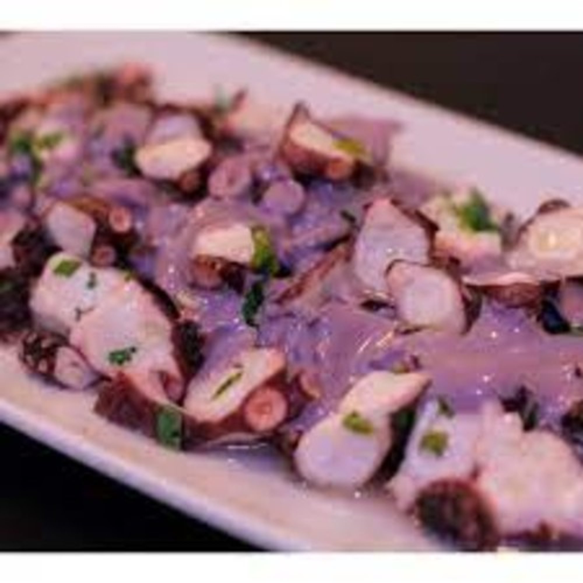 Octopus al Olivo