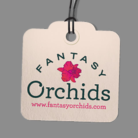 Fantasy Orchids Inc Logo
