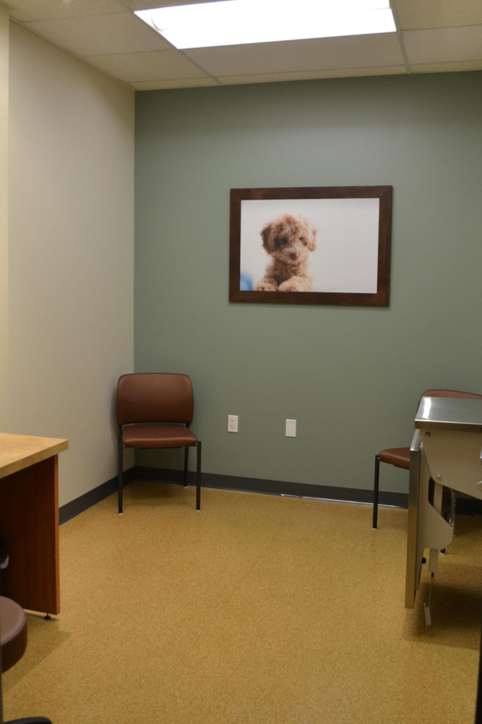 BluePearl Specialty Pet Hospital Photo