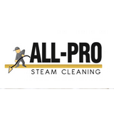 All Pro Steam Cleaning LLC Logo