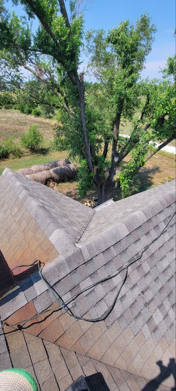 Dedicated Builders Image