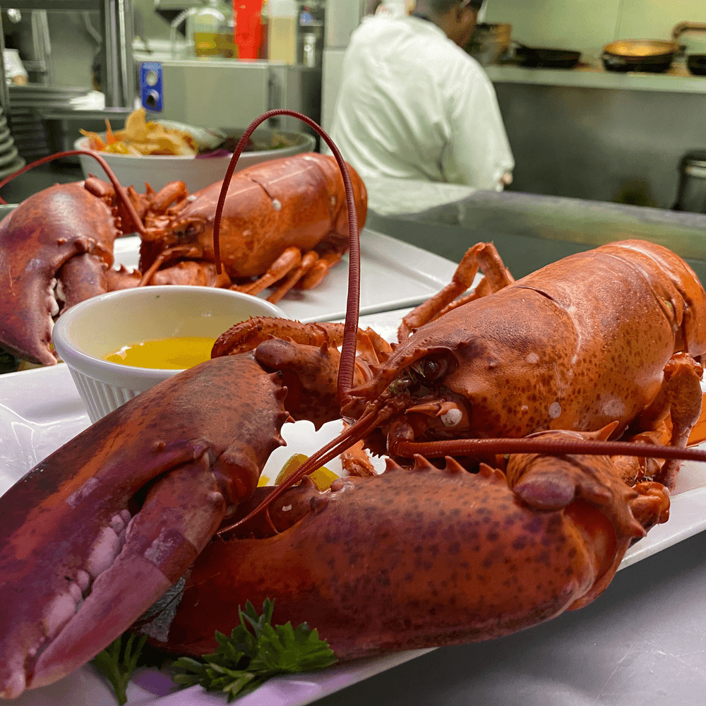 Steamed Maine Lobster