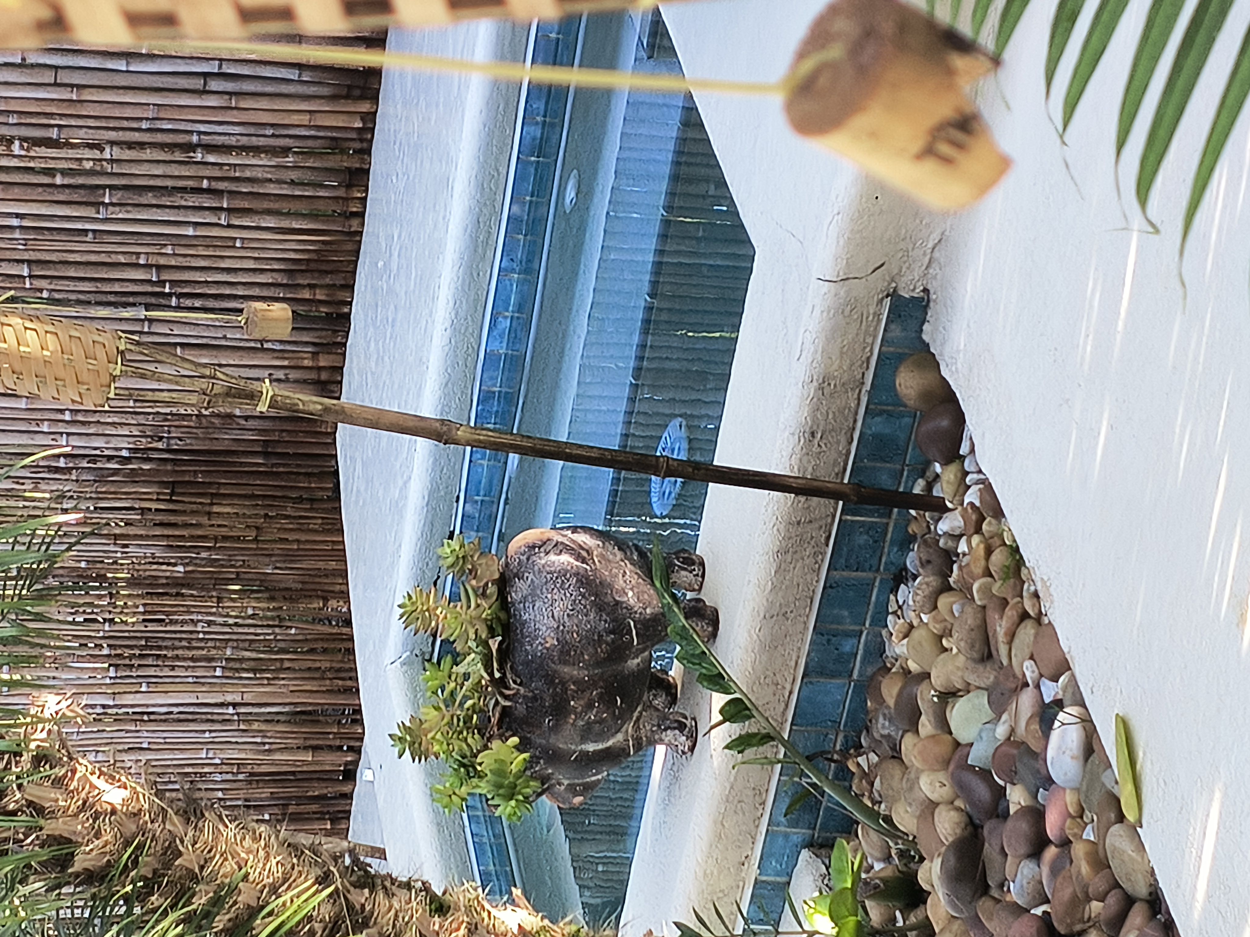 Painting and Pressure Washing by Michael Image