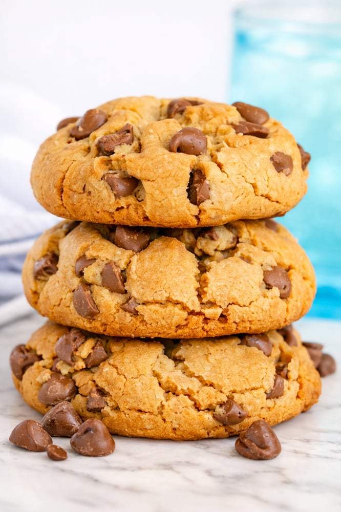 Big FAT Cookie!