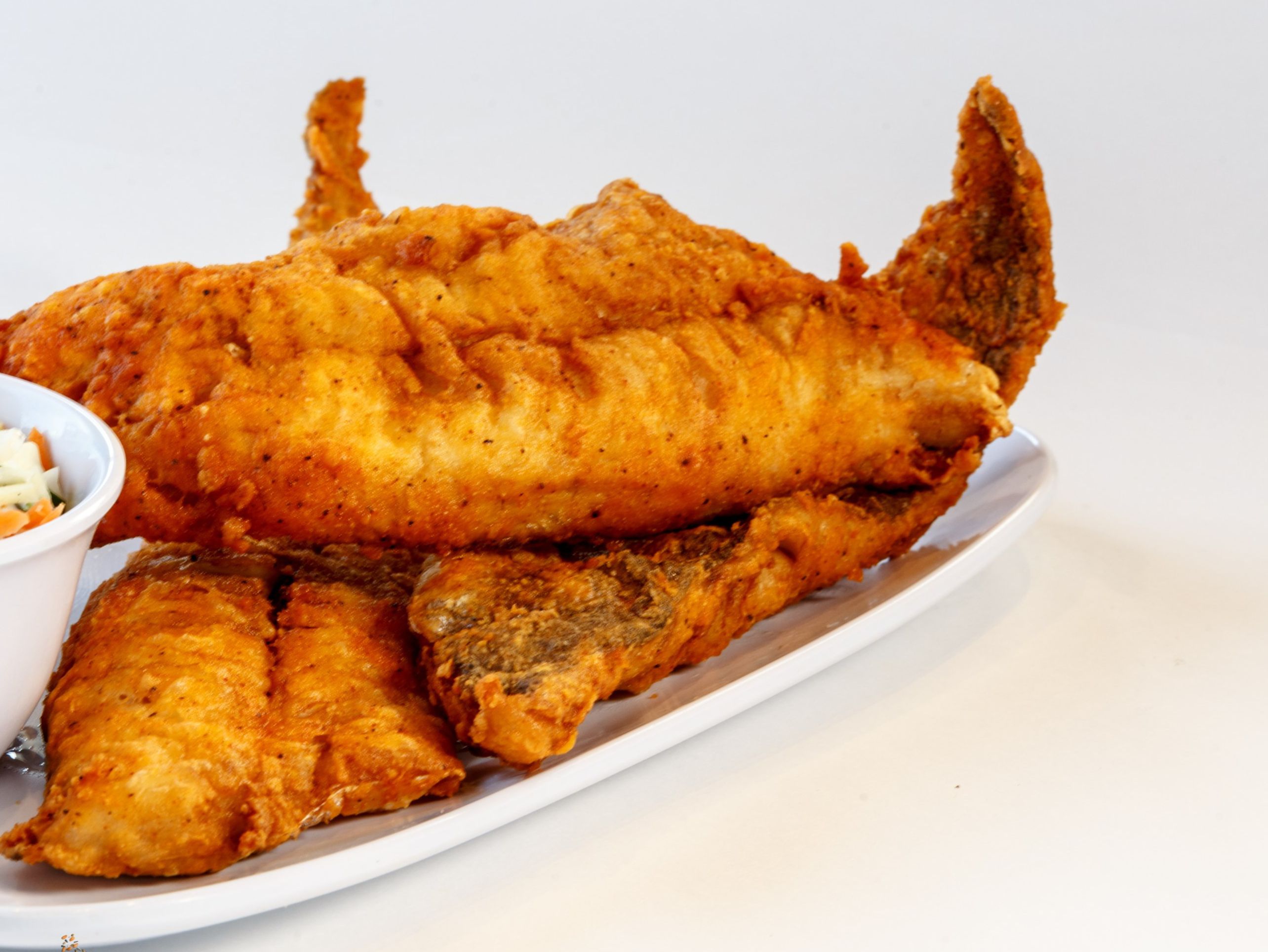 Catfish