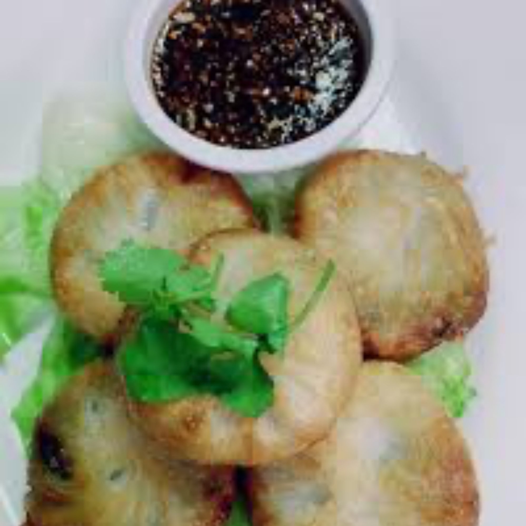 Vegetable Dumplings