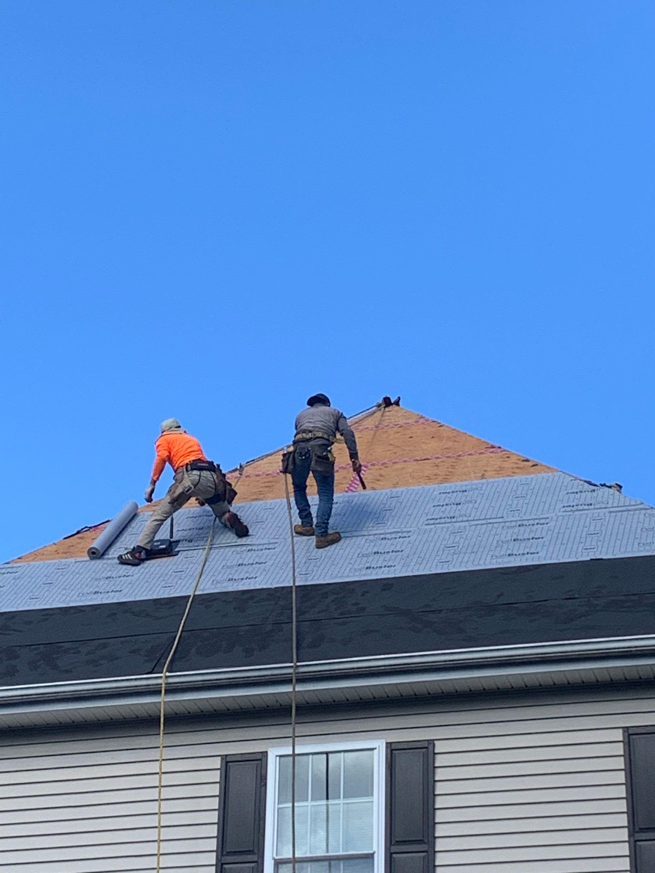 Rhino-Back Roofing Image