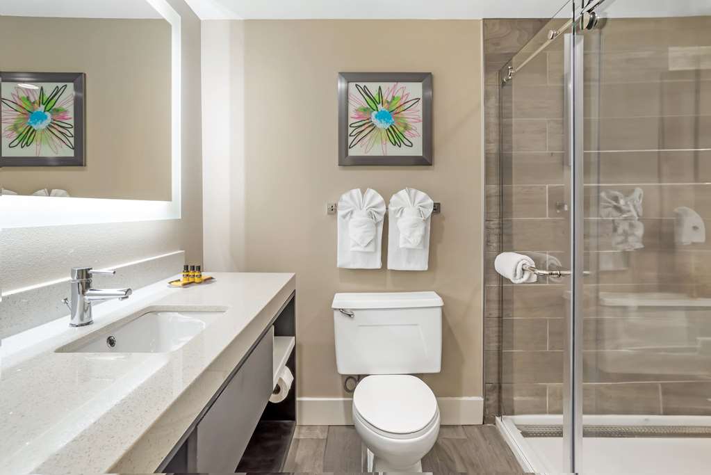 Best Western Plus Greenville I-385 Inn & Suites Image