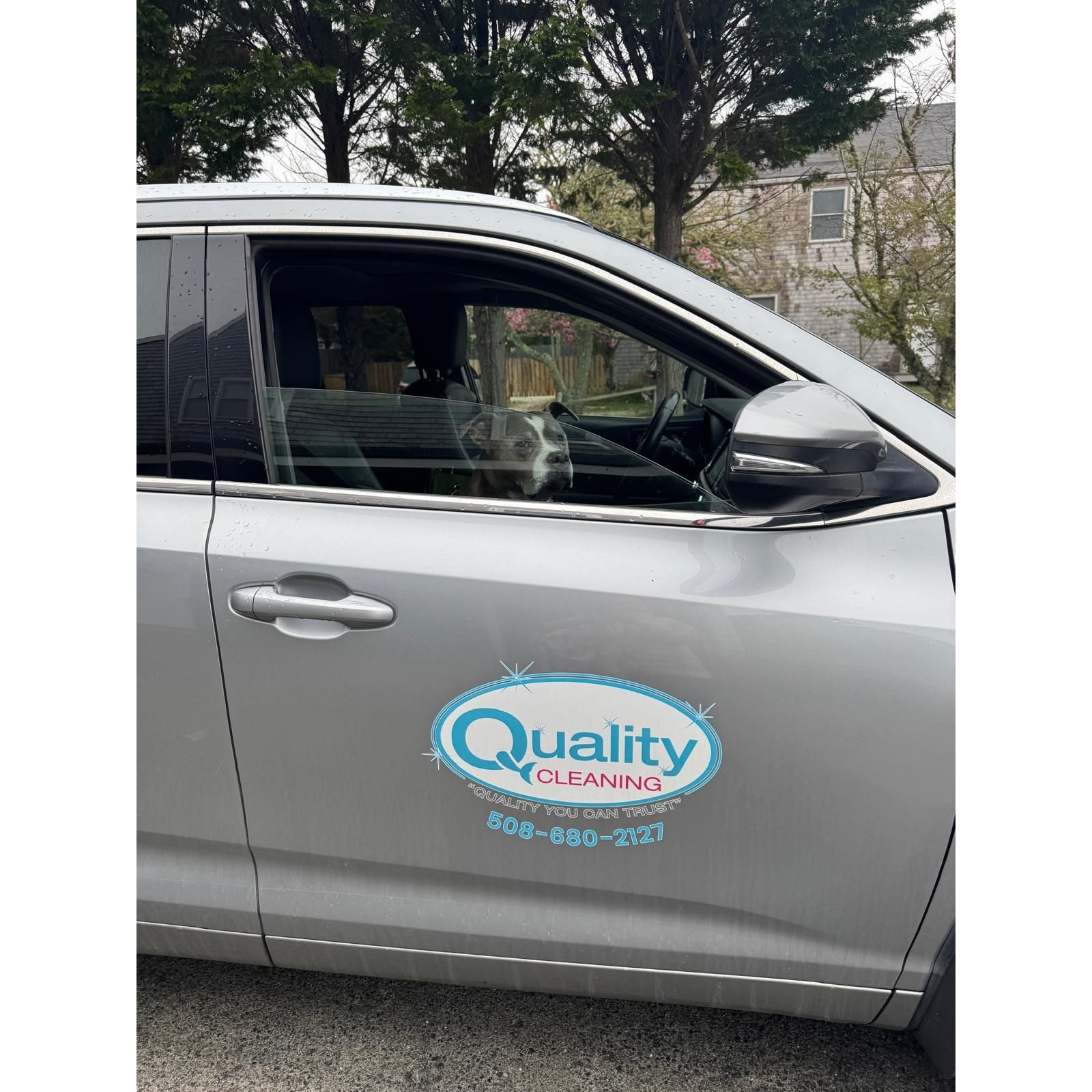 Quality Cleaning service Image