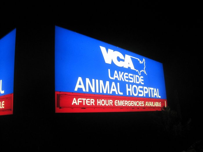 VCA Lakeside Animal Hospital Photo