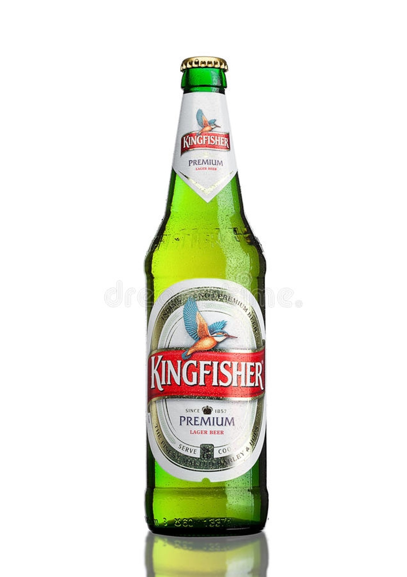 Kingfisher
