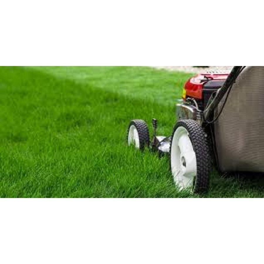 Gage Lawn Service LLC Logo