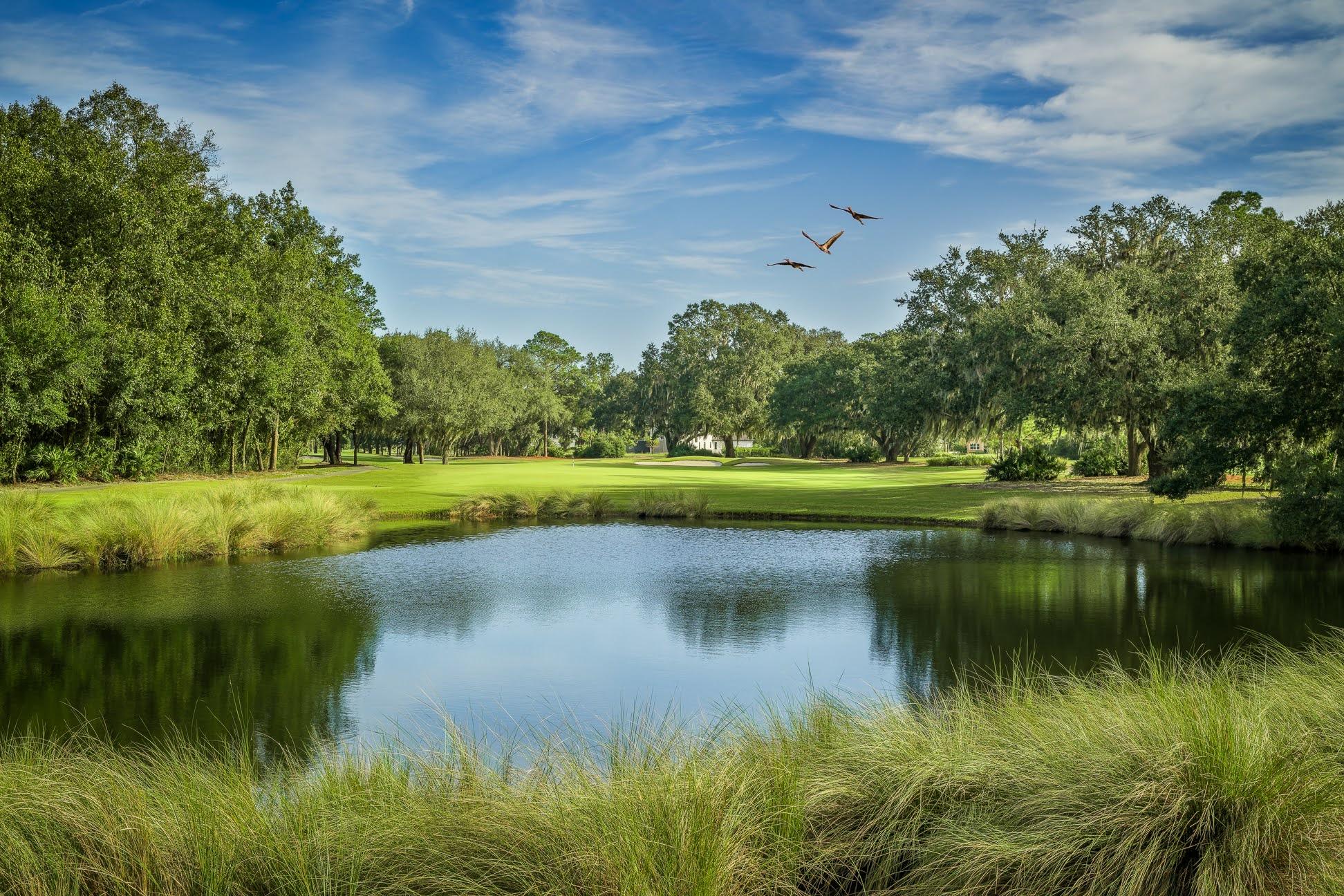 King & Bear Golf Course Image