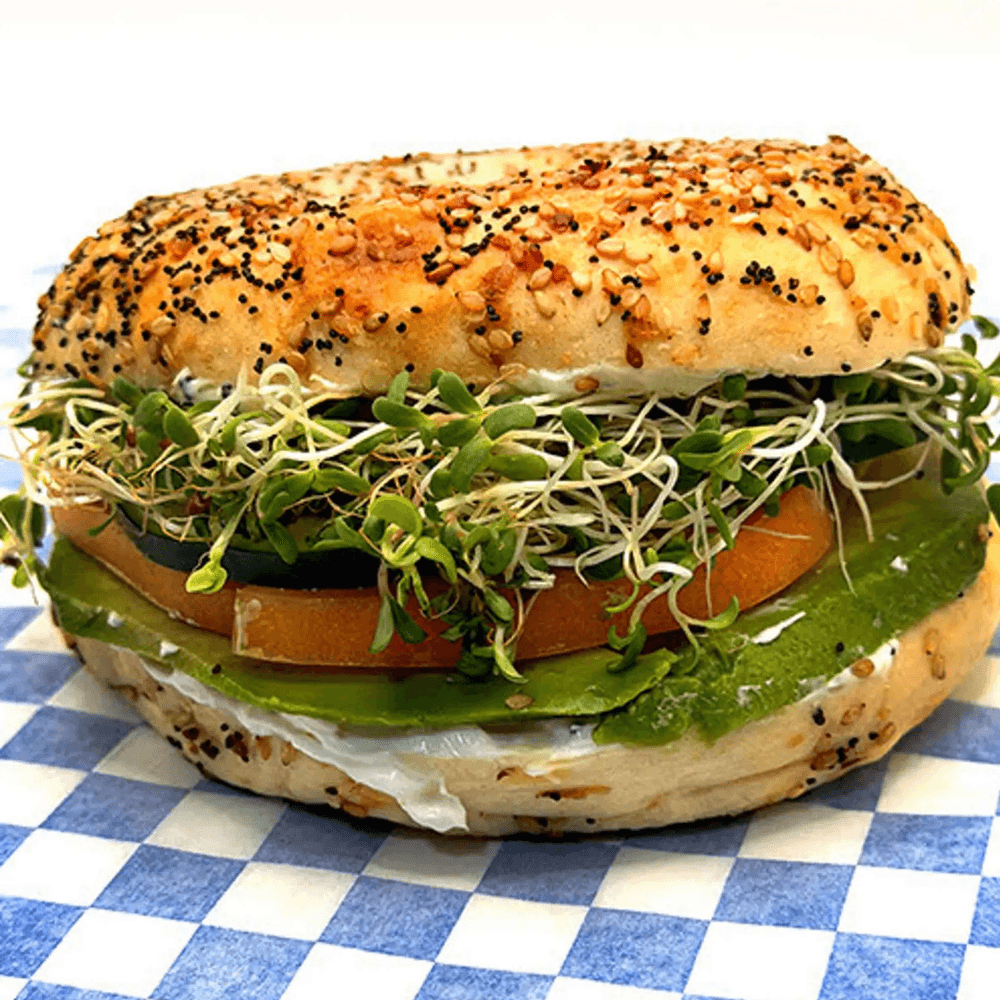 Sprout Bagel