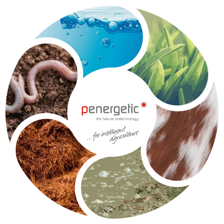 Logo von Penergetic Vertrieb Deutschland e. K.